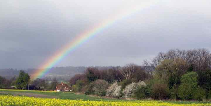 A rainbow over the fields and trees around the kennels
